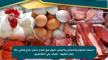 أسعار اللحوم والدواجن والبيض اليوم مع إعلان سعر دجاج وطني بـ24 دولار للكيلو – تعرف على التفاصيل